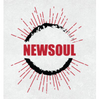 NEWSOUL logo - Similar company to Progressif Media