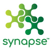 Synapse logo - Similar company to Bebida