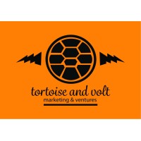 Tortoise & Volt Marketing & Ventures LLC logo - Similar company to The Selected