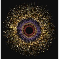 The Center for Healing and Liberation logo - Similar company to Commonweal