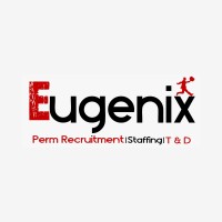 EUGENIX STAFFING SOLUTIONS logo - Similar company to Multivirtual Technology Llc.