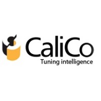 Calico Infosystems Pvt Ltd logo - Similar company to Leapwind Technology Solutions
