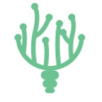 CyberLight LTD logo - Similar company to Cyber Light