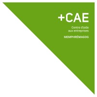 CAE Memphrémagog logo - Similar company to Magog Technopole