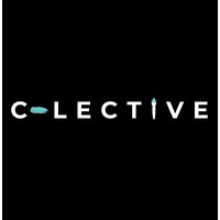 C-lective Fine Art logo - Similar company to The Skilled Project