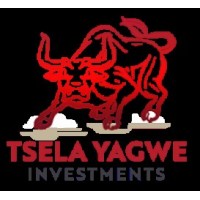 TSELA YAGWE INVESTMENTS logo - Similar company to Ata Agrotrad Investments Limited