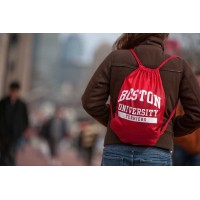 Boston University Department of Sociology logo - Similar company to Boston University College Of General Studies