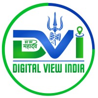 Digital View India logo - Similar company to Digital Raisers