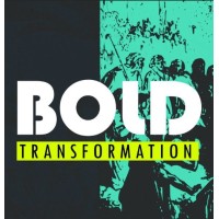 Bold Transformers logo - Similar company to Bold Transformations Pty Ltd