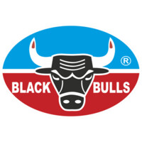 Black Bulls Grease & Lubricants Manufacturing LLC. logo - Similar company to Scope Lubricants