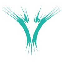VIROSTACK logo - Similar company to Eg-Coders