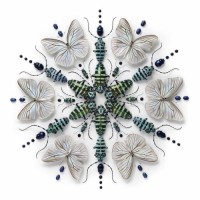 Celadon London logo - Similar company to Linea Estudio