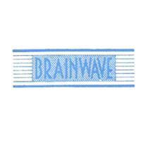 Brainwave Solutions Private Limited logo - Similar company to Brainwave Education