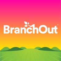 BranchOut Food Inc. logo - Similar company to Microdried Fruits & Vegetables