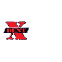 X-Dent Auto Hail Repair