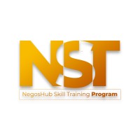 NST Program logo - Similar company to Data Intelligence And Swarm Analytics Laboratory