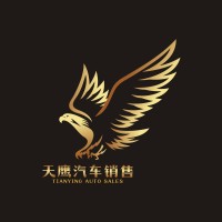Tianying Used Bus logo - Similar company to Behin Kala