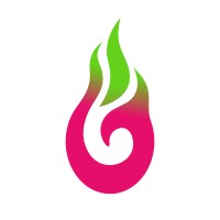 Dragonfruit Research logo - Similar company to Remotex Care