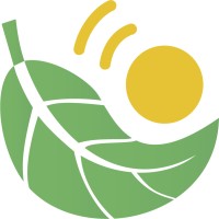 Lilliput Technologies Ltd. logo - Similar company to Hippotainer