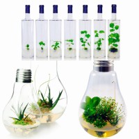 Greenfeel GEP Design logo - Similar company to Vitropic Sa