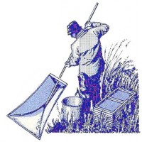 Glass Eels Ltd logo - Similar company to Coretti Specialità Srl