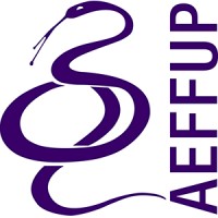 AEFFUP logo - Similar company to Núcleo De Estudantes De Farmácia Da Associação Académica De Coimbra (Nef/Aac)