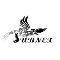 Subnex Technology Korea