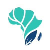 Innovest Afrika logo - Similar company to Belarush