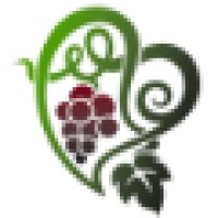 Portuguese Wine Experience