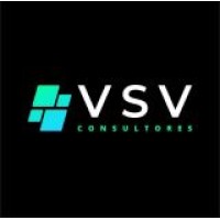 VSV CONSULTORES logo - Similar company to Observatorio Del Juego