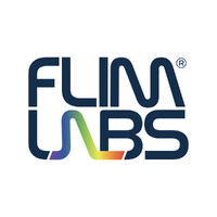 FLIM LABS logo - Similar company to Smartvalue Management Consulting