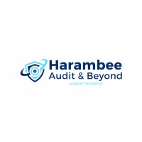 Harambee Audit & Beyond logo - Similar company to Energy Analytic Security Exchange (Ease)