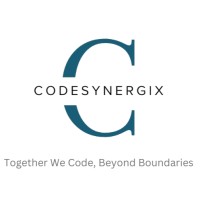 CodeSynergiX logo - Similar company to Hitech Software