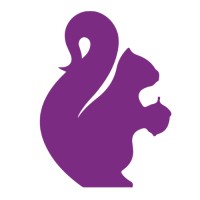 Curate Partners logo - Similar company to Hive + Co (Formerly Level)