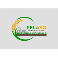 FELASO logo - Similar company to 42Nxt