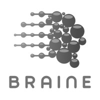 braine logo - Similar company to Generic Software