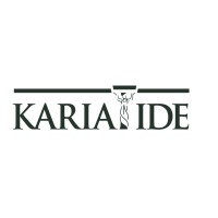 Kariatide AS logo - Similar company to Theleadershipadvisory