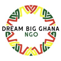 Dream Big Ghana NGO logo - Similar company to Bright Life Foundation
