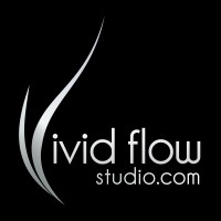 Vivid Flow Studio logo - Similar company to Kks Studio Ltd