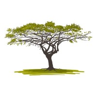 Acacia Risk Consulting Ltd logo - Similar company to Acacia Consulting