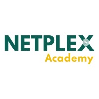 Netplex Academy logo - Similar company to Netplex
