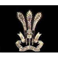 Rashtriya Indian Military College logo - Similar company to Spekter, Aigs