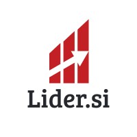 Lider.si logo - Similar company to Kaaita