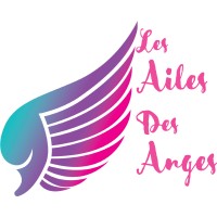 LES AILES DES ANGES - LADA logo - Similar company to Ove-Caraïbes