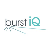 BurstIQ logo - Similar company to Learnsoft
