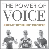 VOICE POWER Medientraining logo - Similar company to Solistv
