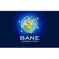 Bane Consulting logo - Similar company to Bane Digital