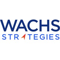 Wachs Strategies logo - Similar company to Donkey Bridge Consulting