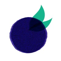 Mirtillo logo - Similar company to Mirtillo International