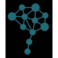 Brain Consulting Services
